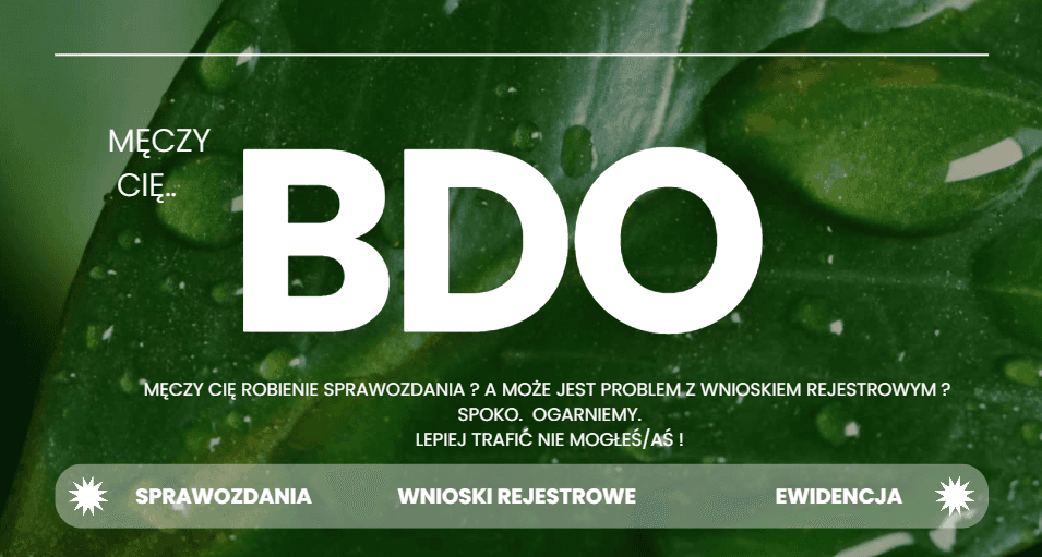 BDO i sprawozdania